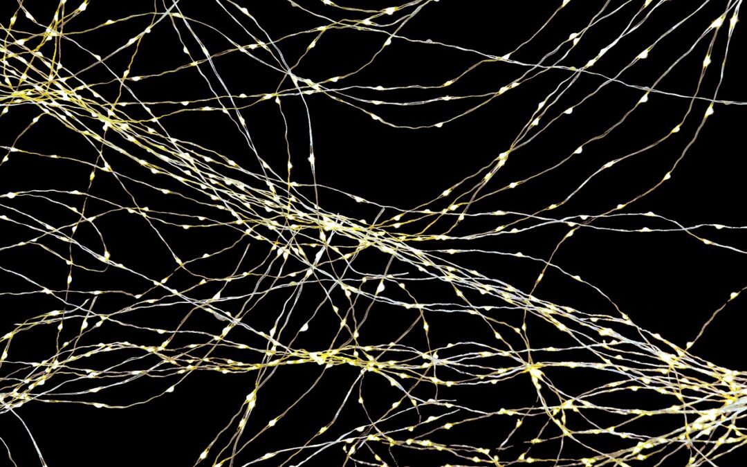 Grafos: la importancia de entender las relaciones entre los datos