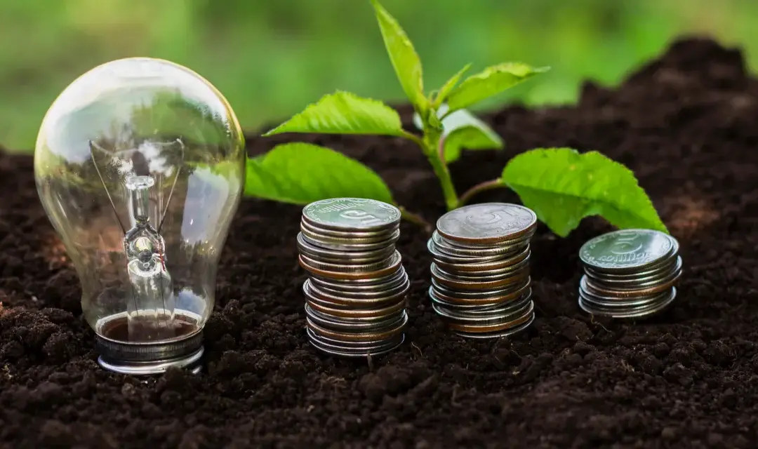 Rentabilidade com Propósito: A Nova Fronteira do Agronegócio Sustentável